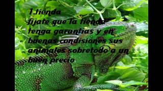 preview picture of video 'cuidados de iguanas parte1'