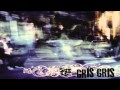The Gris Gris - Pick Up Your Raygun