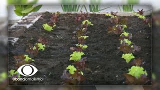 Miniatura do vídeo