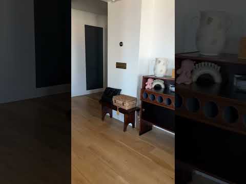 225 Lafayette st 11D $4,695,000 2beds 2.5baths 2063sqft