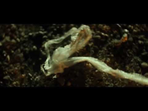 Chemist - We Get It In [Music Video]