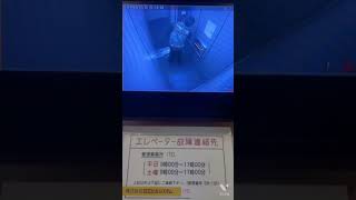 これは、何をしているのか…分かる方コメントにて…