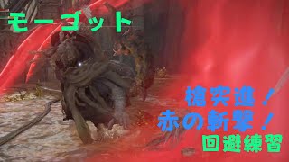 モーゴット 槍の突進！ 赤の斬撃！ 赤の掴み攻撃 回避練習 エルデンリング　EldenRing