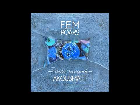 F.E.M - Roars (AKousMaTT Unofficial Acid RemiX) -