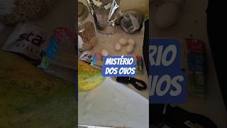 Como os ovos vieram parar aqui?  #shorts