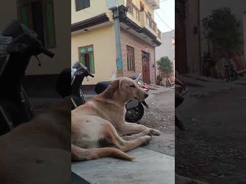 ❣️❣️❣️❣️❣️