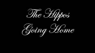 The hippos going home