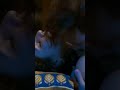Mastram Hot Scene Bhabhi Mastramseason2 Mastram Bhabhi Hot Video