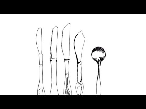 Haydn veceria s Mozartom - PREDOHRA