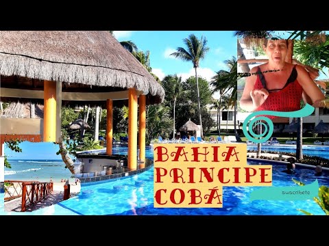Videos del Bahia Principe Grand Coba 4★ en Akumal, México
Ver Más
Ver
Precios
20
Cerrar
Consulta por Whatsapp 🇦🇷
Booking
Tripadvisor
Expedia
Agoda
Travelocity
Orbitz
Priceline
Trip
Skyscanner
Despegar
Kayak
Hoteles
Bestday
Destinia
Trivago
Turismocity
Almundo
Lastminute
Hotwire
Tui
