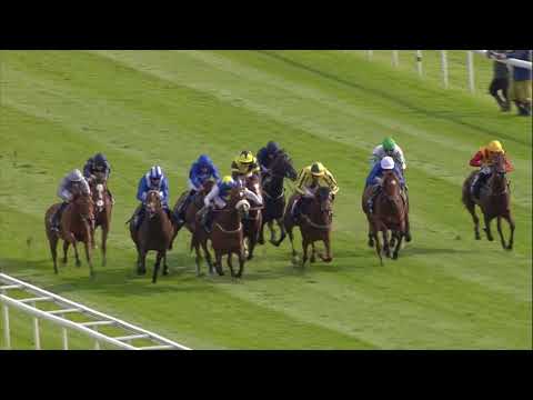 2018 Royal Ascot Contender: Sarshampla