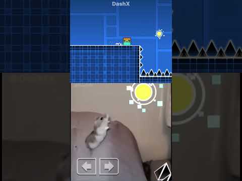 Geometry Dash x Hamster Jump Meme!!