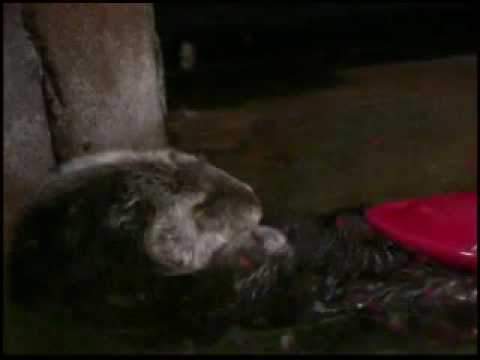 SLEEP-100PERCENTREALWORDS. BLOGSPOT.COM