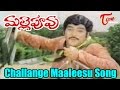 Malle Puvvu Challange Maaleesu
