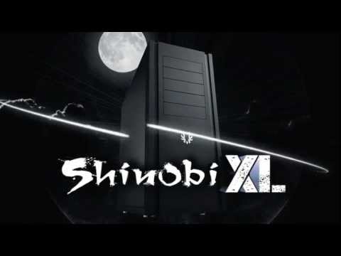 World of Shinobi jeu