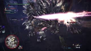 装飾品集め【PS4MHW:I】実況、声無しです。