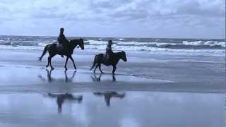 MIRACLE - ILSE DE LANGE