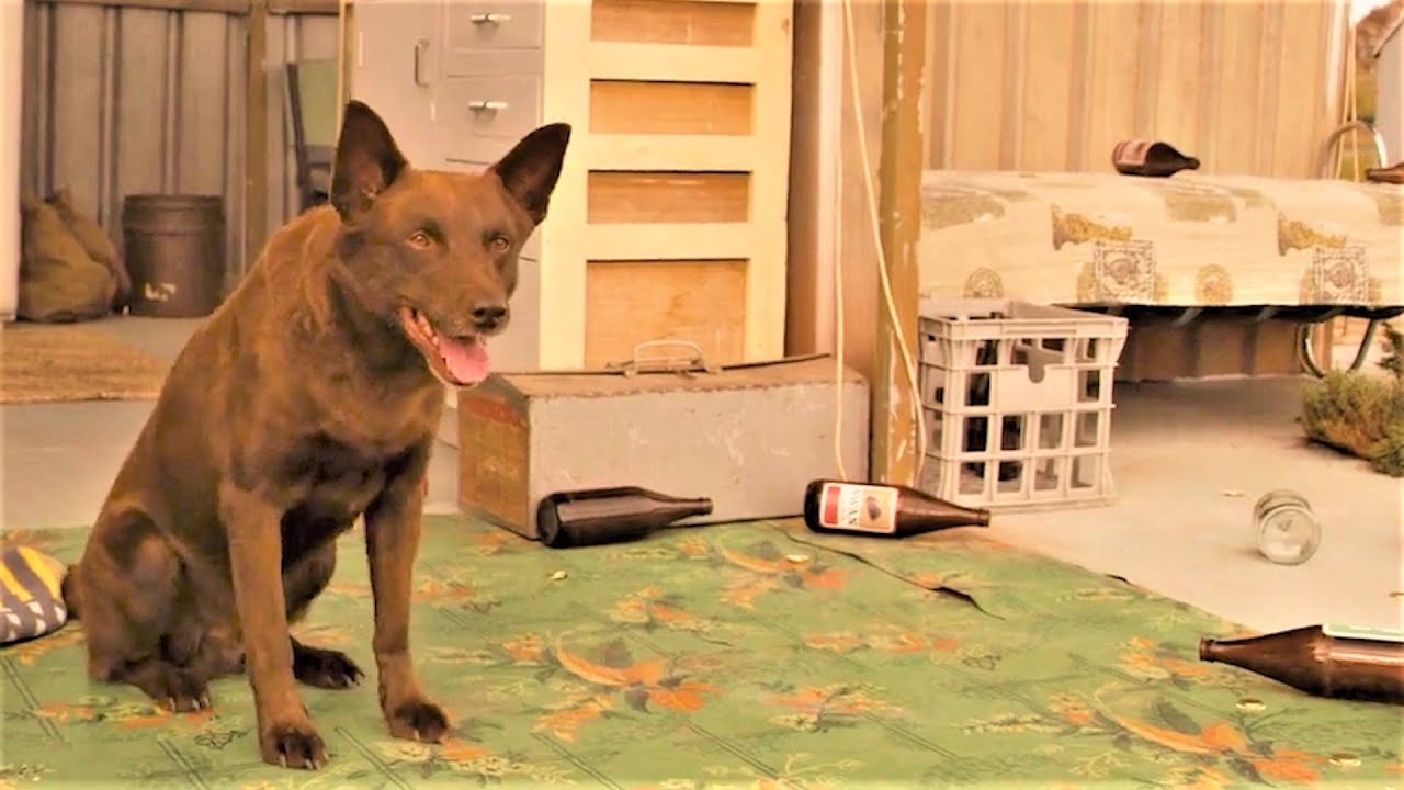 What is lonafarnib used for? Tipseri