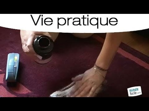 comment nettoyer un tapis c'est du propre