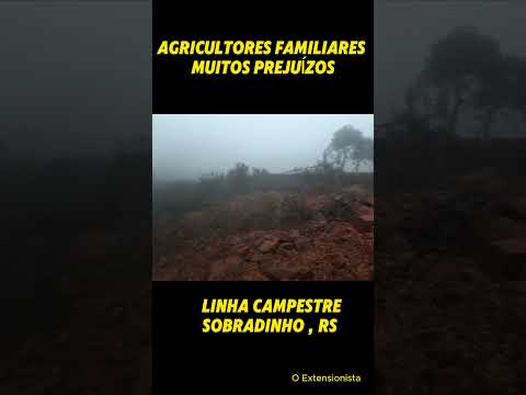 Agricultores Familiares em Sobradinho, RS #enchente #cheias #riograndedosul #tragédia #agricultores
