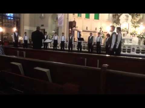 Albuquerque Boy Choir (Cantamos) sing Libertatum