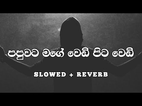 Papuwata Mage Wedi Pita Wedi Slowed And Reverb (පපුවට මගේ ) Papuwata Mage Slowed And Reverb