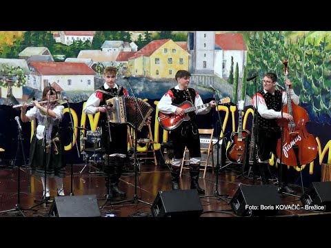 Ansambel Gašperja Mirnika - Zaljubljena ptičica (v živo)