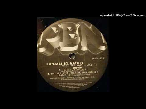 Punjabi By Nature - That's The Way (I Like It)