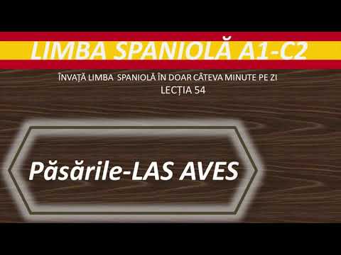 Pasarile- Las aves // Curs LIMBA SPANIOLA #54