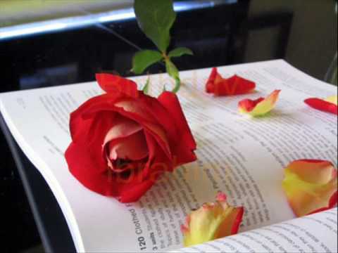 birthday / from (flowers-siham) - عيد ميلاد