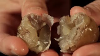 Thumbnail del capítulo