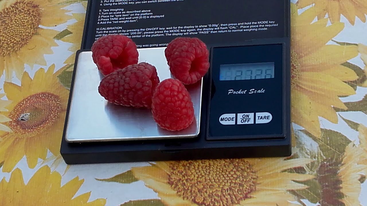 Малина красная Шапка Мономаха