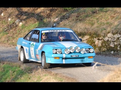 1°Rally LessiniaSport 2011 (HD)