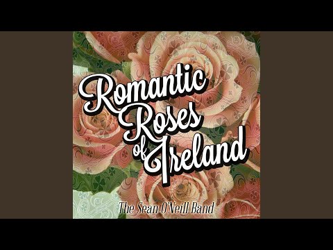 My Lovely Rose of Clare