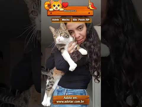 Vídeo de Muqueca