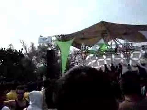 electro sun vs vibe tribe vs stereomatic