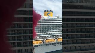 Celebrity! #animal #plushie #funny #travel #travelvlog #trending #shorts #celebrity #comedy #cruise