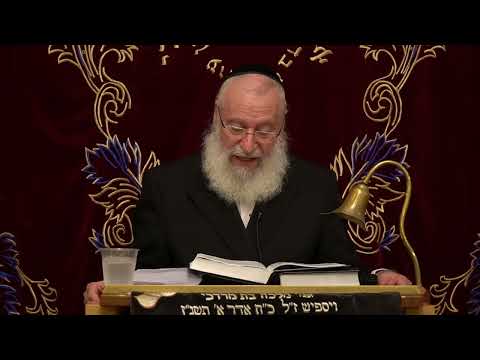דיני מלחמה ודברי חיזוק | שיעור מאת מרן הרב אשר וייס שליט"א | תשפ"ד