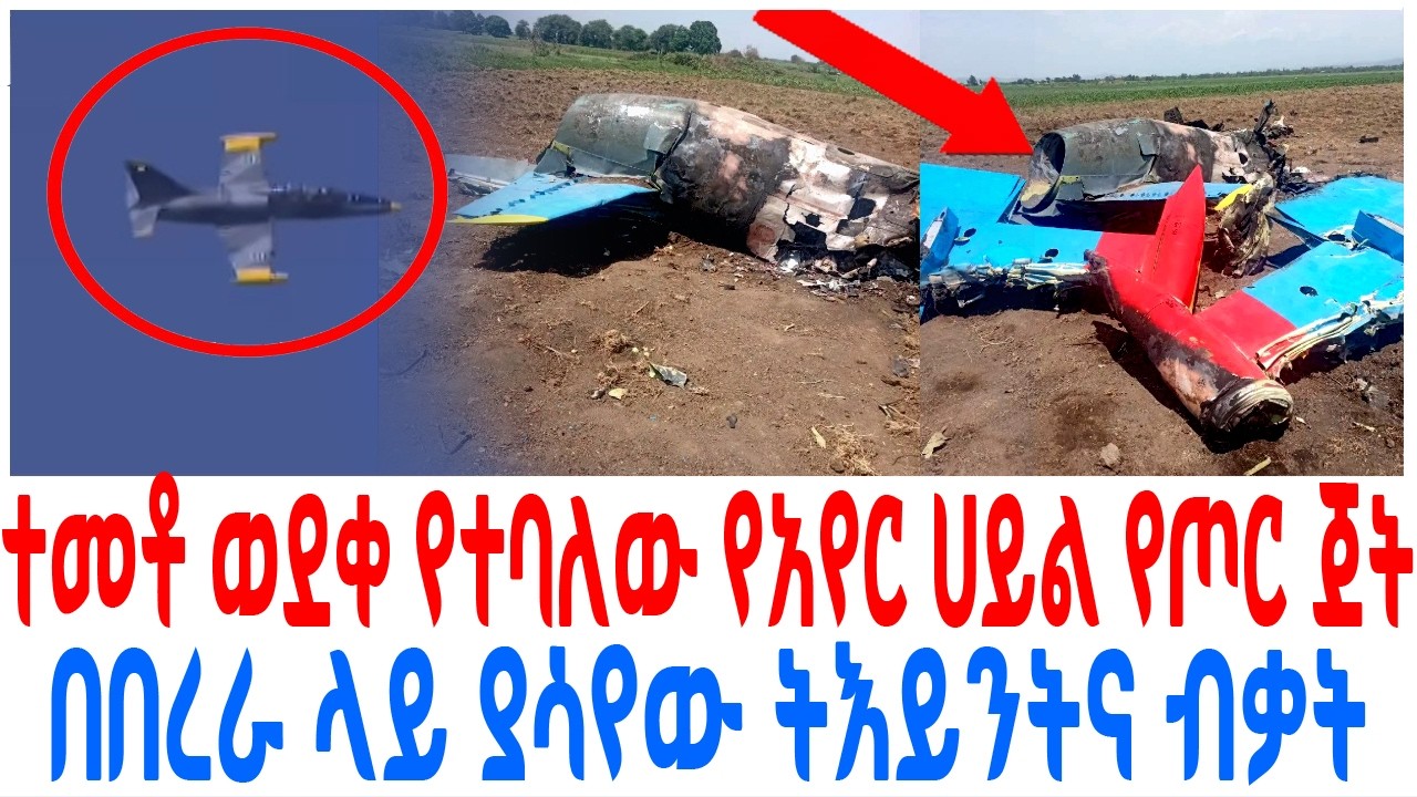 ተመቶ ወደቀ የተባለው የአየር ሀይል የጦር ጀት በበረራ ላይ ያሳየው ትእይንትና ብቃት