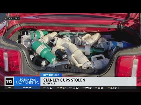 Sacramento Woman Arrested For Stealing $2,500 in Stanley Cups - Bay ...