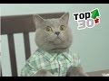 Aaron 039 s Animal 039 s TOP 30 Best Of The Best Aaron 039 s Animal 039 s TOP 30 Best Of The Best
