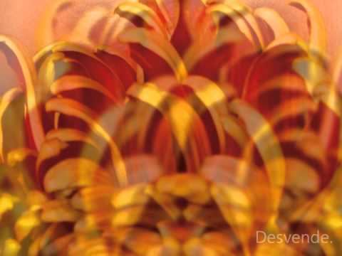 BookTrailer Imagin�rio Feminino