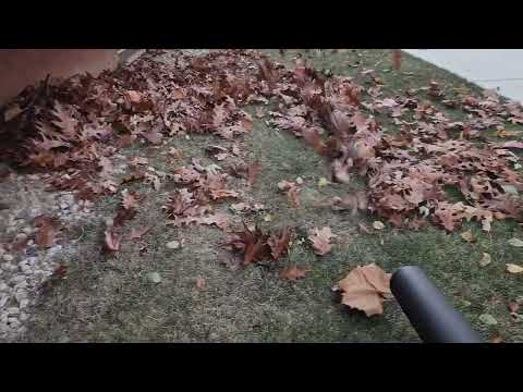 Leaf Blower, does it really work? WORX 20V Turbine Cordless Two-Speed Leaf Blower model WG547.