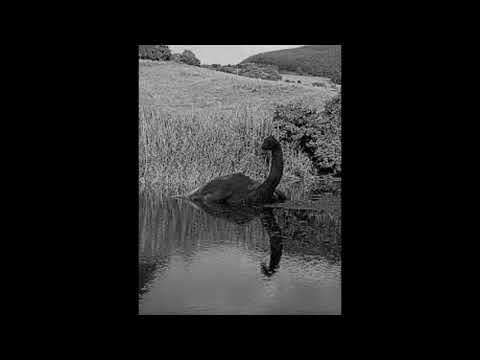 SCP-1933-EX "El Monstruo Del Lago ███████"