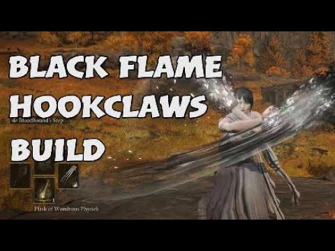 Black Flame Dancer Build [ PvE , No Summons focused ] 3 min builds