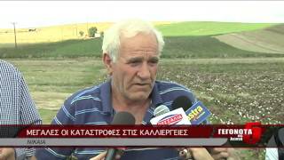 Μεγάλες οι καταστροφές στις καλλιέργειες