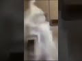Guy Pour Milk On Head Laughing So Funny Lol Shorts Funny Milk
