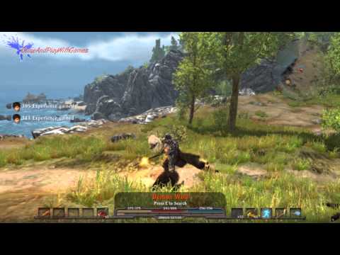 arcania fall of setarrif pc trainer