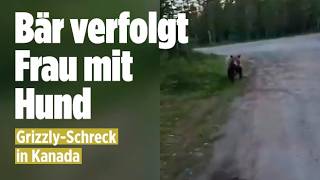 Grizzly auf Gassi-Runde: Frau und Hund in Gefahr!