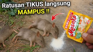 Download lagu Cukup di taburkan saja‼️Tikus MATI dalam SEKEJAP mp3